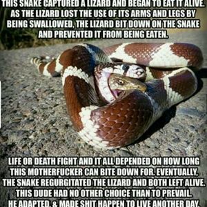 Meet your Posher, Alexander